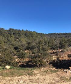 Terrain viabilis� de 437 m�  dans le Var � Rocbaron � vendre

