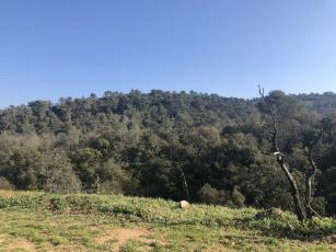 A vendre Terrain de Loisirs Viabilis� de 502 m� � Rocbaron dans le Var

