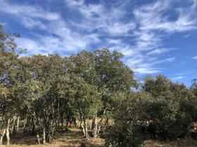 A vendre Terrain de Loisirs de 449 m� � Rocbaron dans le Var
