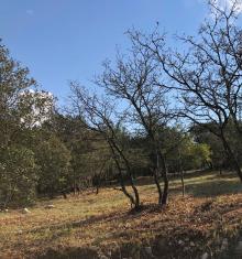 A vendre Terrain de Loisirs de 363 m� � Rocbaron dans le Var
