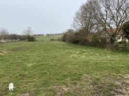 TERRAIN CONSTRUCTIBLE ET VERGER DE 2426 M�
