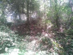 BARGEMON : Beau terrain de loisirs de 4900m2, bordure �tang
