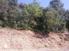 BARGEMON : Terrain de loisirs, non constructible, 2718m2, vue for�t
