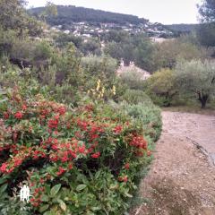 Belle maison dans �crin de verdure
