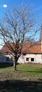 Terrain � b�tir  avec grange � r�nover. 

