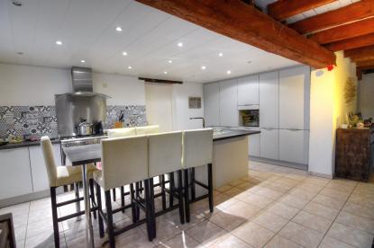 PONT DE VEYLE (01290) maison de 275 m2 sur 5000 m2 de Terrain
