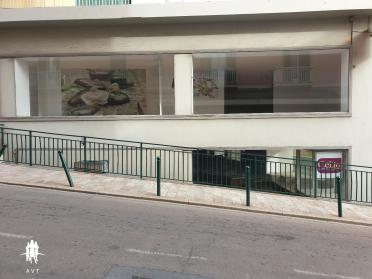 Local 1200 m2 Cours Napol�on
