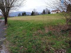 Haute Garonne 31- A vendre Proche Gourdan Polignan- Terrain de 6 000 m� divisable en parcelles de 2 