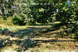 Dept (84) Vaucluse Piolenc A Vendre Terrain Constructible Quartier Calme
