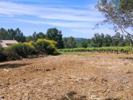 Dept Gard (30) - A vendre Saint andr� d'ol�rargues - Terrain constructible
