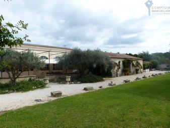 Bouches-du-Rh�ne13- Mas de campagne 200m2 aux pied des Alpilles
