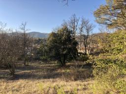 Vaucluse (84), Lauris, Lourmarin, Provence, Luberon, terrain 2 hectares � vendre dont 1600m2 constru
