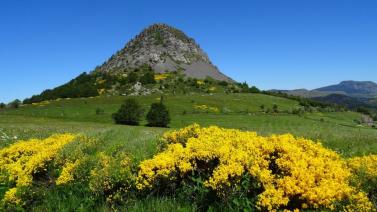 D�pt. 07 - A VENDRE � SAINTE-EULALIE - Maison de 400 m� sur 3 niveaux - Parcelle de 570 m�
