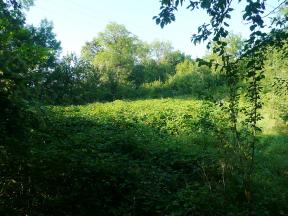TERRAIN CONSTRUCTIBLE A VAILHOURLES
