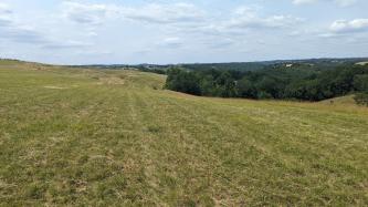 Terrain pour les amoureux de la campagne albigeoise
