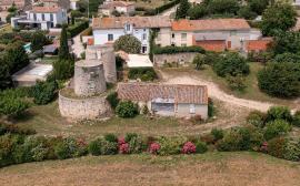 Propri�t� � 10 mn de Carcassonne, 2 maisons et 2 moulins. Terrain constructible d�tachable.
