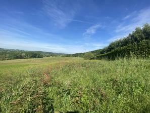 Terrain � B�tir ORTHEZ 

