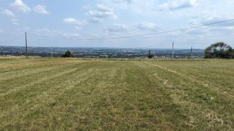 Terrain pour les amoureux de la campagne albigeoise
