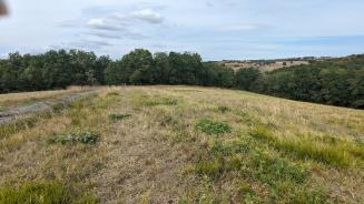 Terrrains forestier et agricole de 3,85 hectares, sur les hauteurs d'Albi.
