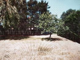 Terrain Constructible de 1063m�  � Mont�lier
