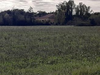 Ferme avec 17,6 hectares et d�pendances
