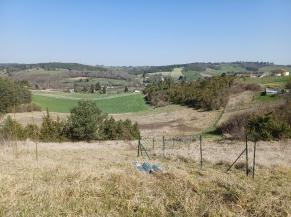 Parcelle bois prairie 
