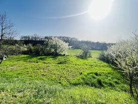 TERRAIN CONSTRUCTIBLE A 6 MINS D ALBI 
