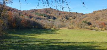 Exceptionnel !!! Ensemble immobilier sur 93 HA de terres avec ruisseau , sources ... 
