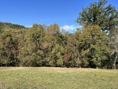 Fourmagnac, terrain constructible avec partie bois�e et petit ruisseau
