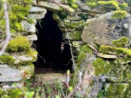 Proche Mercu�s, grand terrain bois� et agricole
