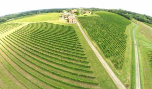 Domaine Viticole �co-responsable � Vendre 
