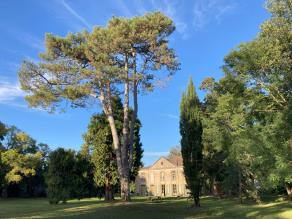 APPEL A PROJET PROXIMITE MONTAUBAN 82
