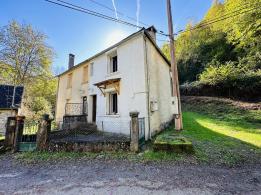 Petite Mason sur hauteurs de Saint Lary 09800 avec terrain en bordure de torrent
