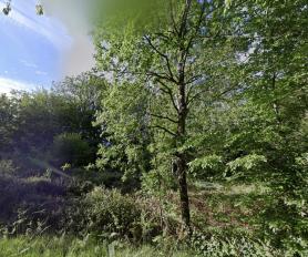 Terrain forestier  vendre  Une opportunit unique !
