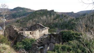 TERRAIN avec ruine
