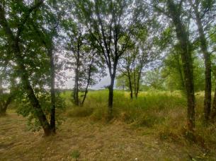 Terrain au calme et constructible de 2515m� 
