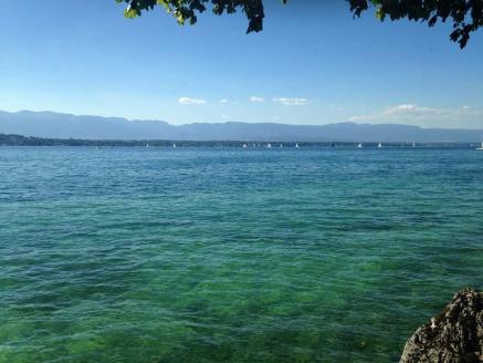 PROCHAINEMENT ! C'est � Marignier, aux portes de la suisse, que nous vous proposons ce superbe 