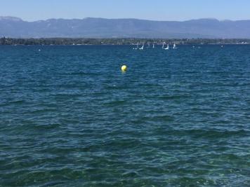 PROCHAINEMENT ! C'est � Epagny, aux portes de la suisse, que nous vous proposons ce superbe log