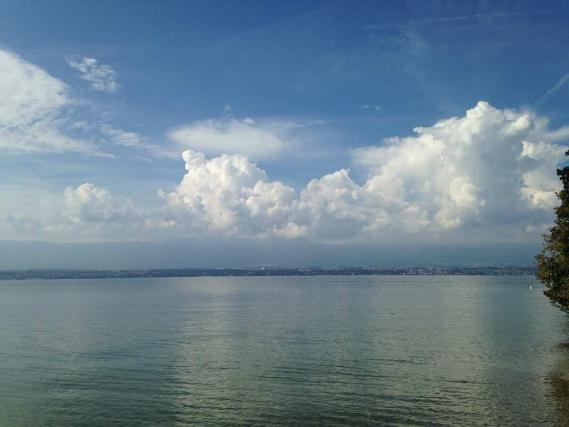 PROCHAINEMENT ! C'est � Annecy, � la fronti�re de Suisse, que nous vous proposons ce superbe lo