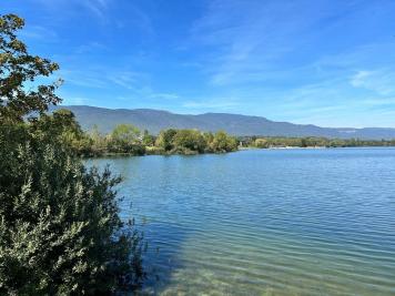 PROCHAINEMENT ! C'est � Sciez, � la fronti�re de Suisse, que nous vous proposons ce superbe log