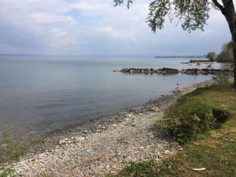 PROCHAINEMENT ! C'est � Thonon-les-Bains, aux portes de la Suisse, que nous vous proposons ce s