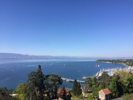A SAISIR A proximit� du Port de Thonon-Les-Bains et des commodit�s. Dans un cadre idyllique superbe 