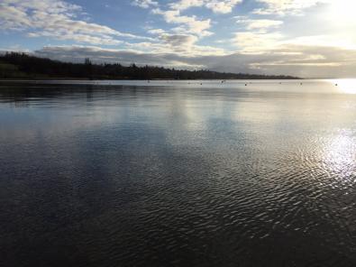 PROCHAINEMENT ! C'est � Epagny, aux portes de la suisse, que nous vous proposons ce superbe log