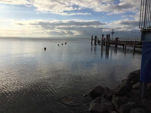 PROCHAINEMENT ! C'est � Annemasse, aux portes de la suisse, que nous vous proposons ce superbe 