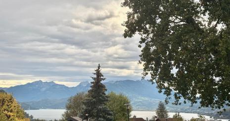 PROCHAINEMENT ! C'est � Annecy, � la fronti�re de Suisse, que nous vous proposons ce superbe lo