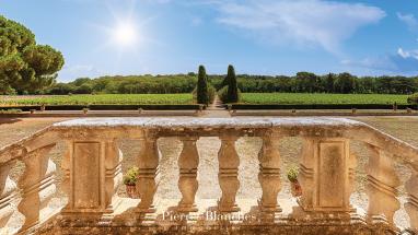 UN VIGNOBLE EN ART DE VIVRE �
