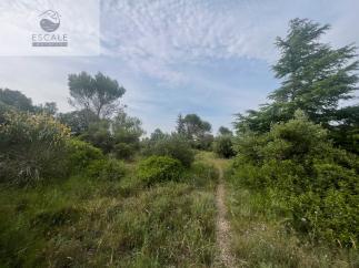 VENTE TERRAIN AGRICOLE A PIGNAN
