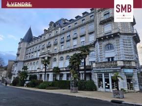 Appartement atypique avec vue imprenable sur la cha�ne des Pyr�n�es
