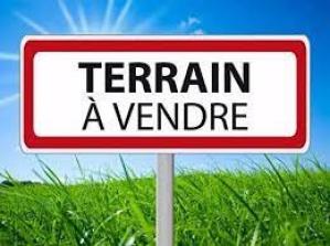 TERRAIN CONSTRUCTIBLE AU TAMPON

