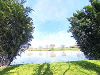 TERRAIN de LOISIR avec Etang

